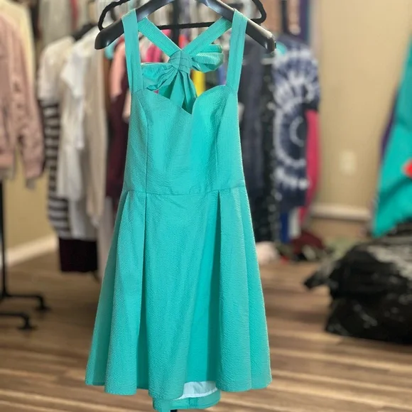 Elegant Lauren James LivingstonMint seersucker Green Sleeveless Dress Large - Picture 2 of 4